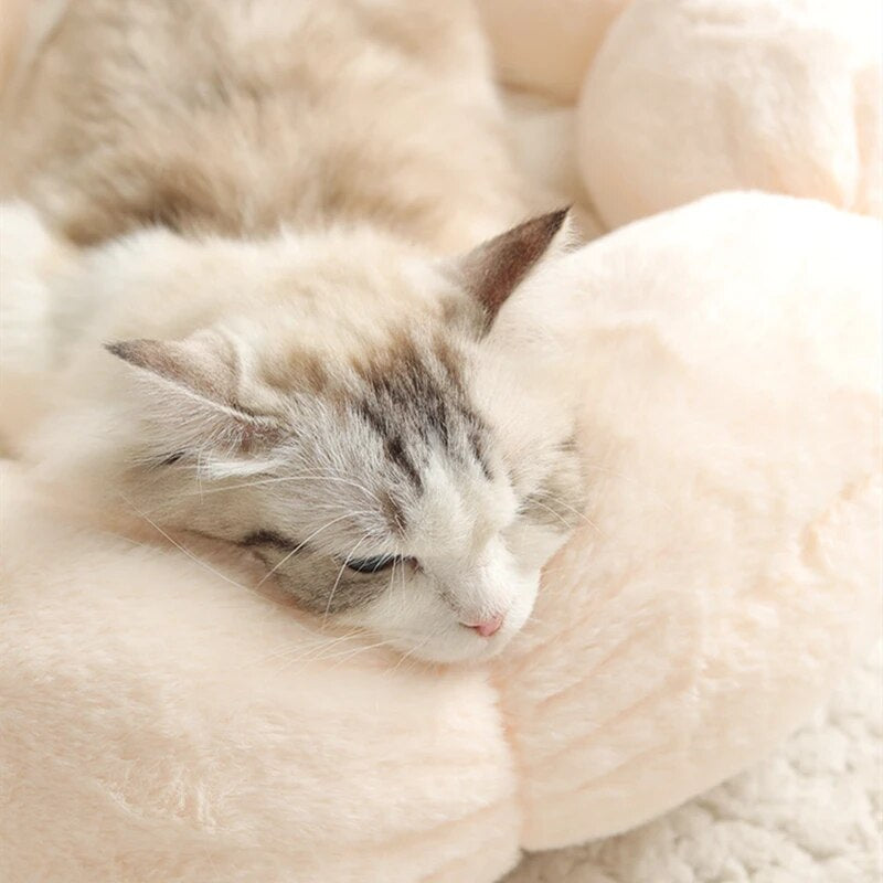 Cat Bed Flower Shape Cats Winter Warm House Cute Coral Fleece round Cushion Beds for Small Dog Kitten Kennel Mattress